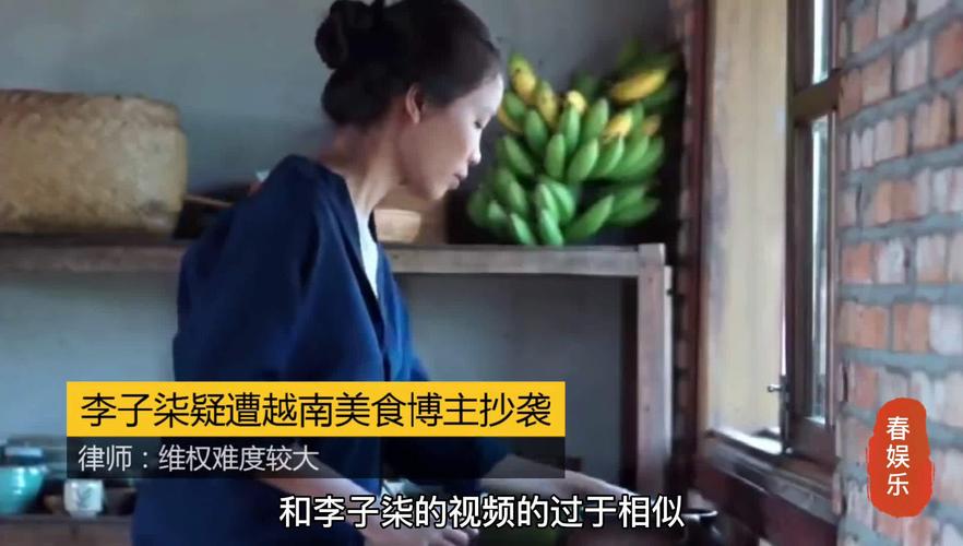 李子柒疑遭越南美食博主抄袭 律师:维权难度较大