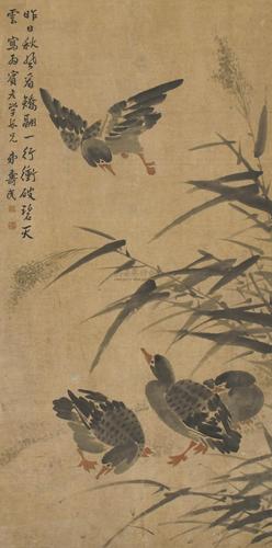 0013 芦雁图 立轴 设色纸本