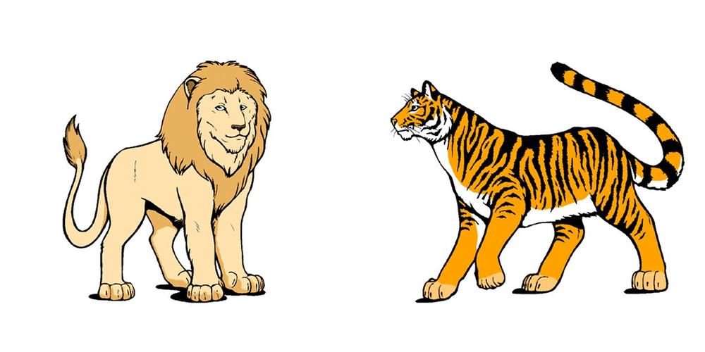 狮子和森林之王老虎和好了,瞧,他们在哪儿呢!