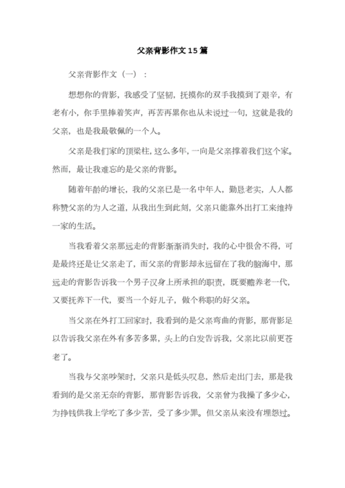 父亲背影作文15篇.docx 17页