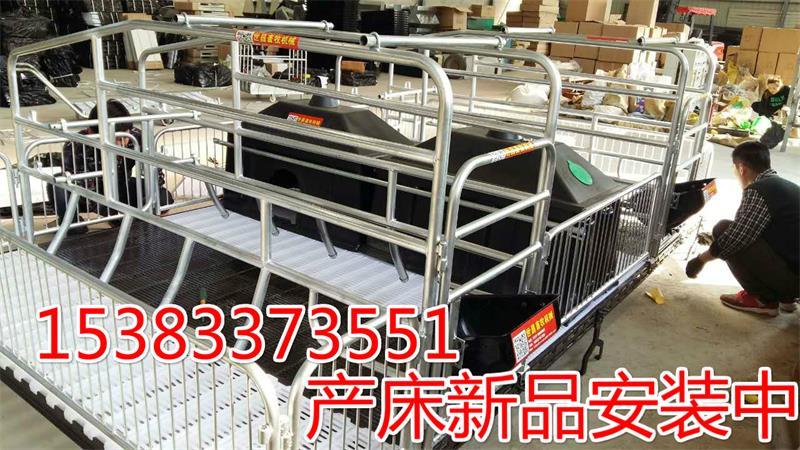 加厚精品母猪产床饲喂母猪床新猪舍扩建安装指导