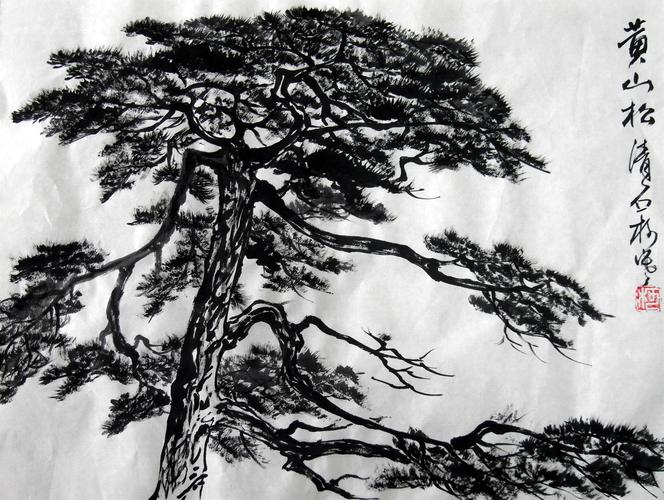 国画山水·《黄山松》