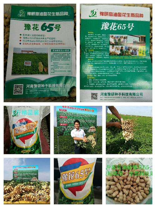 高油酸花生新品种豫花65号,包装规格:5斤精品装