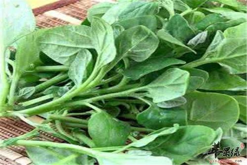 番杏吃多了会不会上火