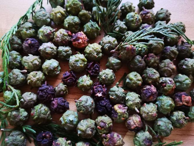 真如寺缘起柏香木制作柏子香