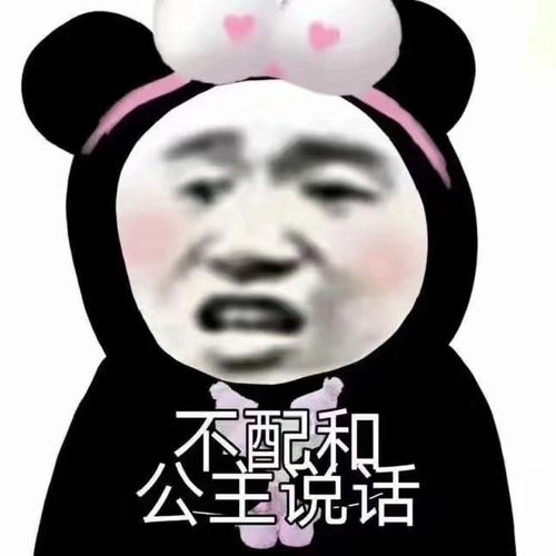 美女熊猫表情包
