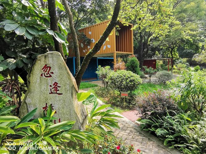 广州城区内最美的番禺大夫山森林公园不止是门票免费那么简单花木区