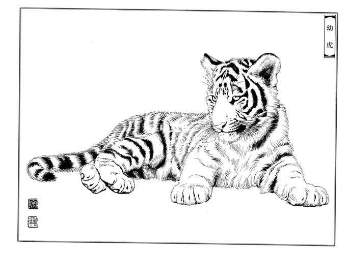 老虎线稿黑白插画工笔画(十三)_插画_线稿_工笔画_绘画_素材_绘画素材