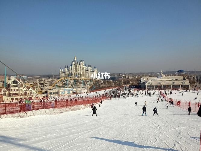 抚顺热高乐园|冰雪大世界|冬季滑雪_滑雪_冰雪大世界