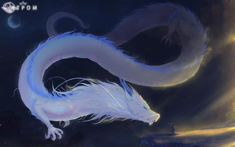 白龙|插画|概念设定|atpom - 原创作品 - 站酷 (zcool)