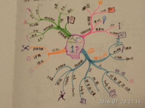 思维导图,非常有用的学习工具