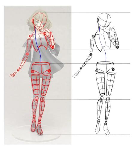 新手怎么学漫画人物人体结构练习素材教程