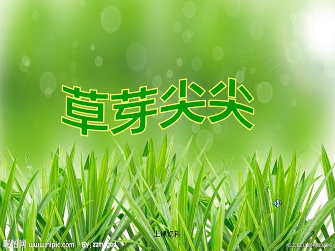 草芽尖尖小学晨诵课程#公开课堂