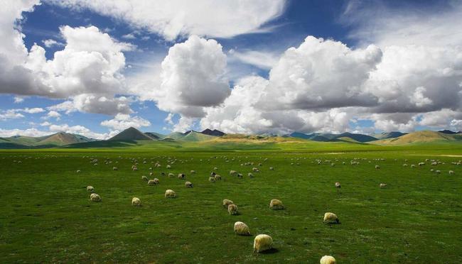 西藏旅游景点推荐 羌塘大草原旅游攻略 低音号导游