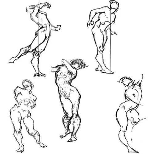 转载至《伯里曼人体结构绘画教学》