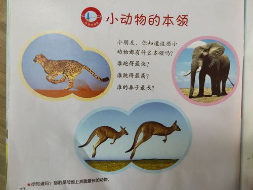 星期三 科学课《小动物们的本领》