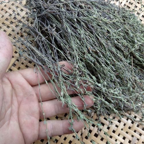 中草药2019年新货野生无硫独脚金疳积草金锁匙消米虫50克包邮