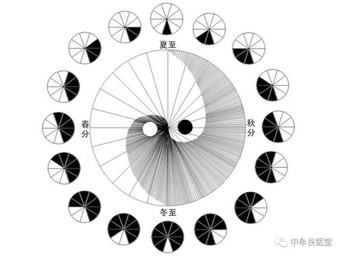 二太极图的量化