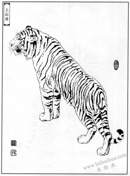 上山老虎白描作品图片