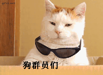 狗群员戴戴墨镜_群员_墨镜表情