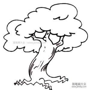 树根简笔画幼儿视频