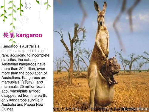 澳大利亚英文版介绍ppt