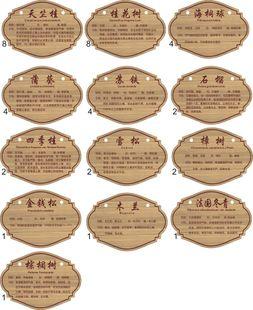 订制花木牌小号树木牌花草牌花园标识牌树种介绍牌盆景介绍牌挂牌