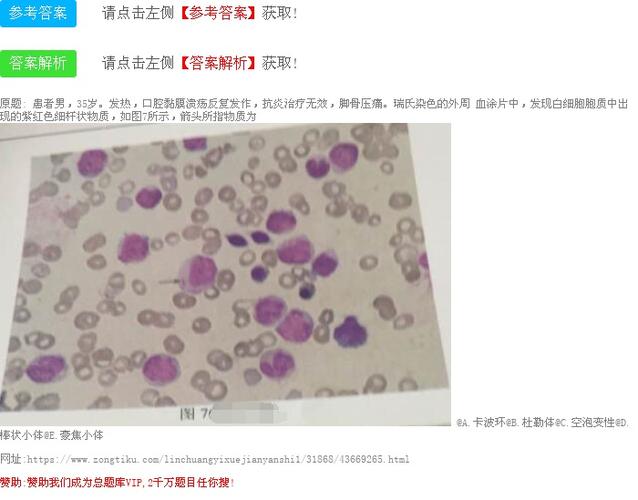 杜勒体 c.空泡变性 d.棒状小体 e.豪焦小体