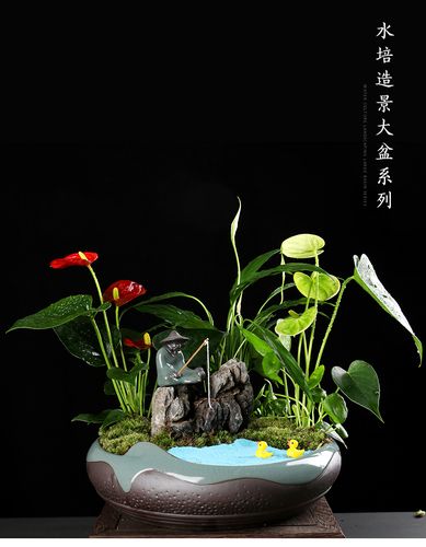 水仙花铜钱草花盆绿萝大号造景陶瓷创意家用大号睡莲水培清仓包邮