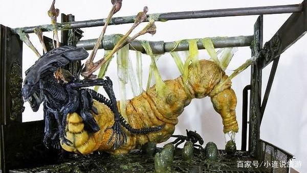 你知道"致命生物兵器"异形的生长周期吗?