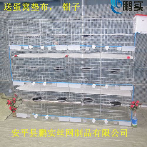 鸽子笼养殖笼特大号家用鸡笼配对笼鸽子笼兔笼鸟笼子鸽子笼子大号