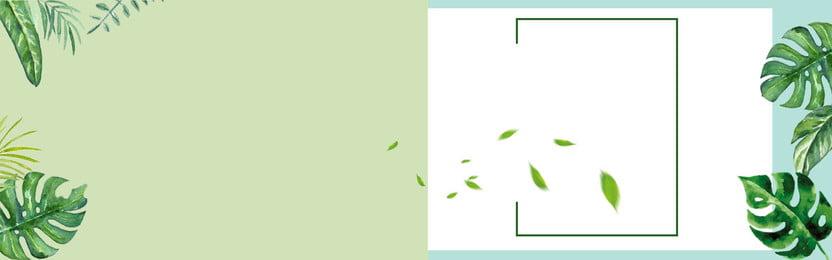 森女系背景图片