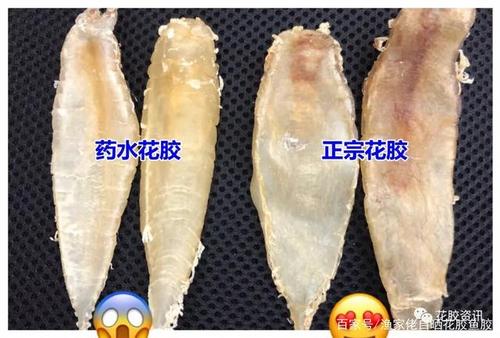 由于鱼胶被鱼油包裹,天然鱼胶会在干燥后有淡淡的鱼油腥味,有些鱼胶