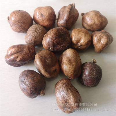 中药材桄榔子是什么 追风果 桄榔子价格多少钱