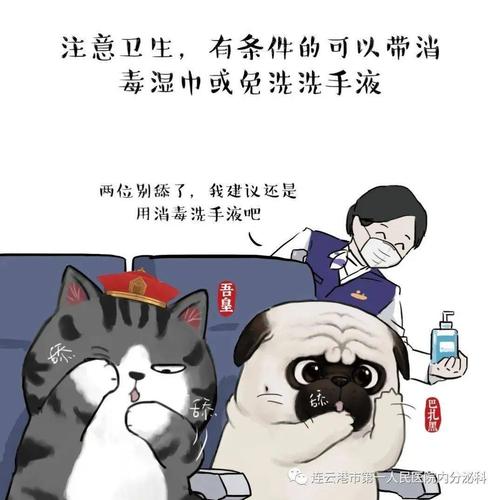 小猫咪"吾皇"教你疫情期间如何居家防疫!