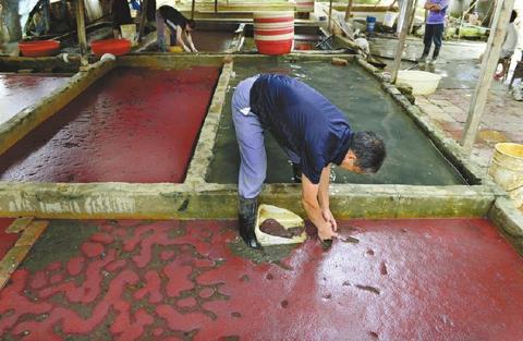 成都另类淘金族:一年四季浸泡淤泥中 "淘"到10多万
