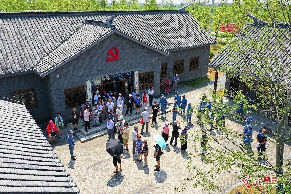 江苏泗洪大王庄里参观热