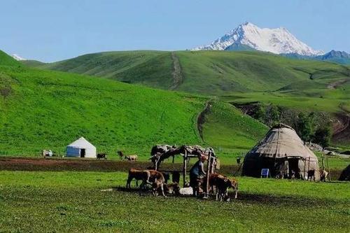 「唐布拉草原」中国最美草原
