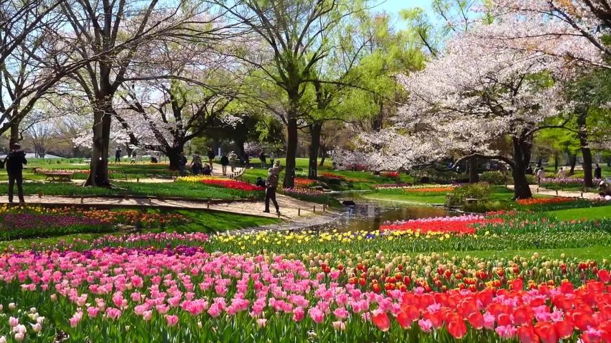 春天公园花草自然风景素材