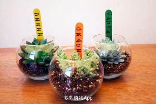 12个废物利用小技巧