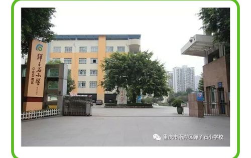 重庆市南岸区弹子石小学校(中海校区)-校本部