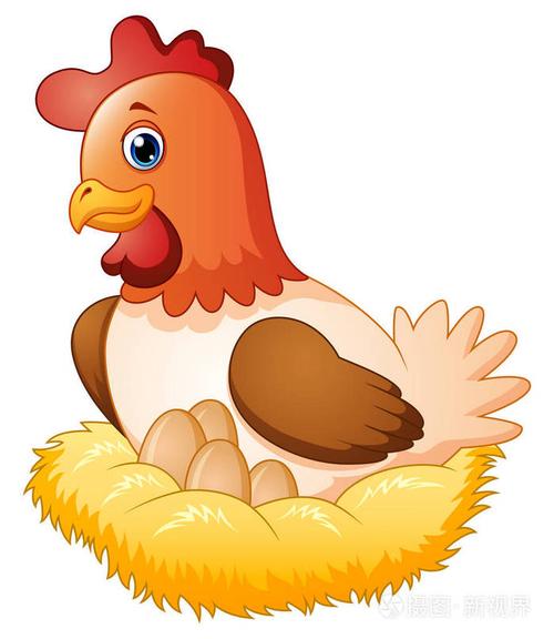 可爱的母鸡孵蛋产在巢穴插画-正版商用图片0u0vyd-摄