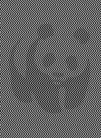 黑白曲线图暗藏1只动物!仅1%的人能找到?_错觉