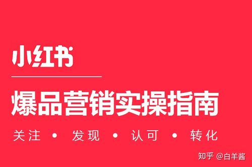 自媒体一天涨粉10w小红书速成指南爆款笔记的秘密