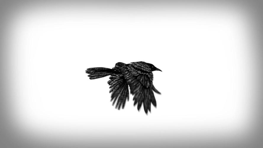 乌鸦飞动卡通动画_1920x1080_高清视频素材下载(编号