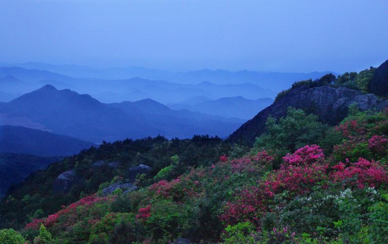 大雷山杜鹃花——那一抹不肯离去的春天
