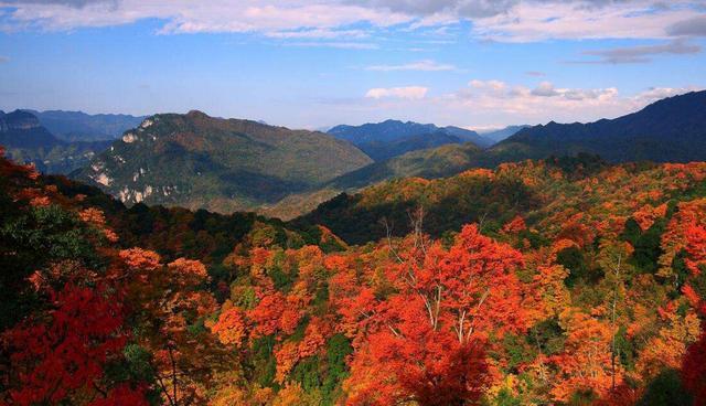 川西10月限定3大公园满山红叶层林尽染秋天专属