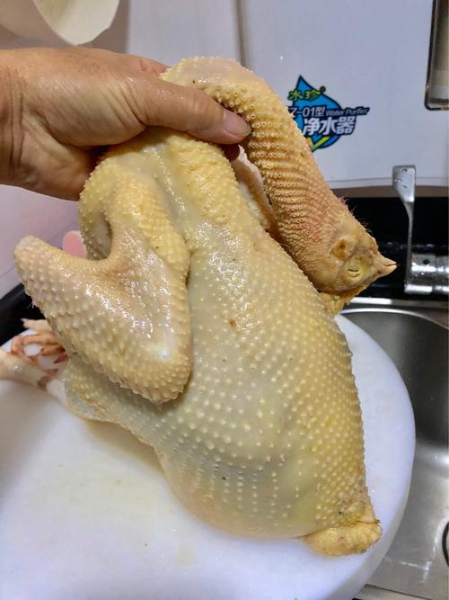 化州白切鸡教程