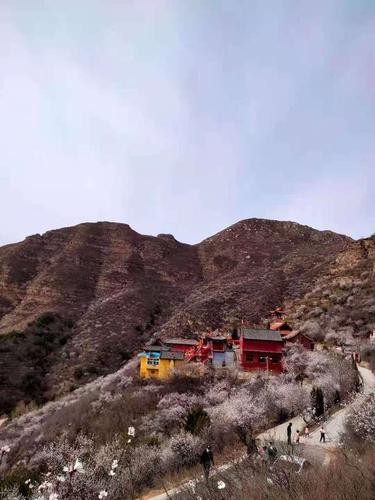 关于灵丘龙泉寺的传说