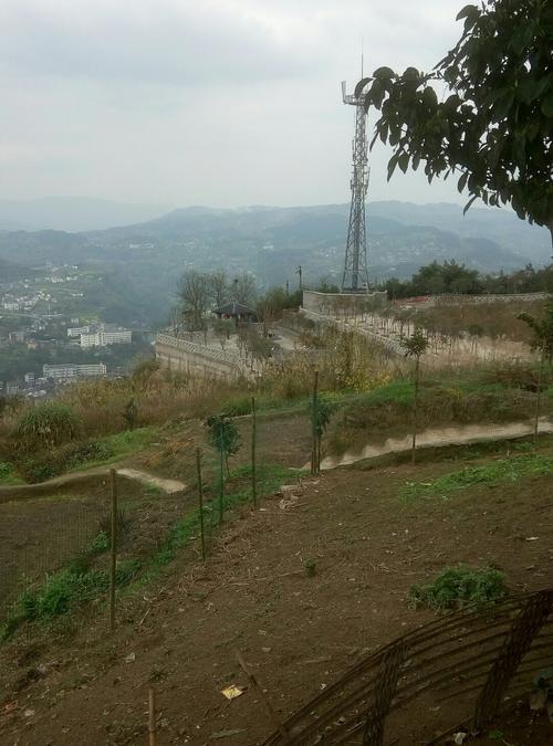 重庆市綦江区新建路靠近中国邮政储蓄银行(东溪镇支行)天气预报